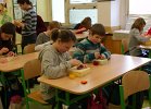 2012-02-22-Produkce-a-zpracovani-ovci-vlny