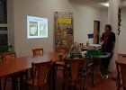 2011-11-04-Lecive-bylinky