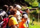 2009-07-26-Po-stopach-bylinkovych-carodejnic