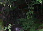 2011-06-19-Vapenny-vrch-jeskyne-a-jejich-obyvatele