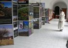 2010-Bazilika-sv-Vavrince-a-sv-Zdislavy